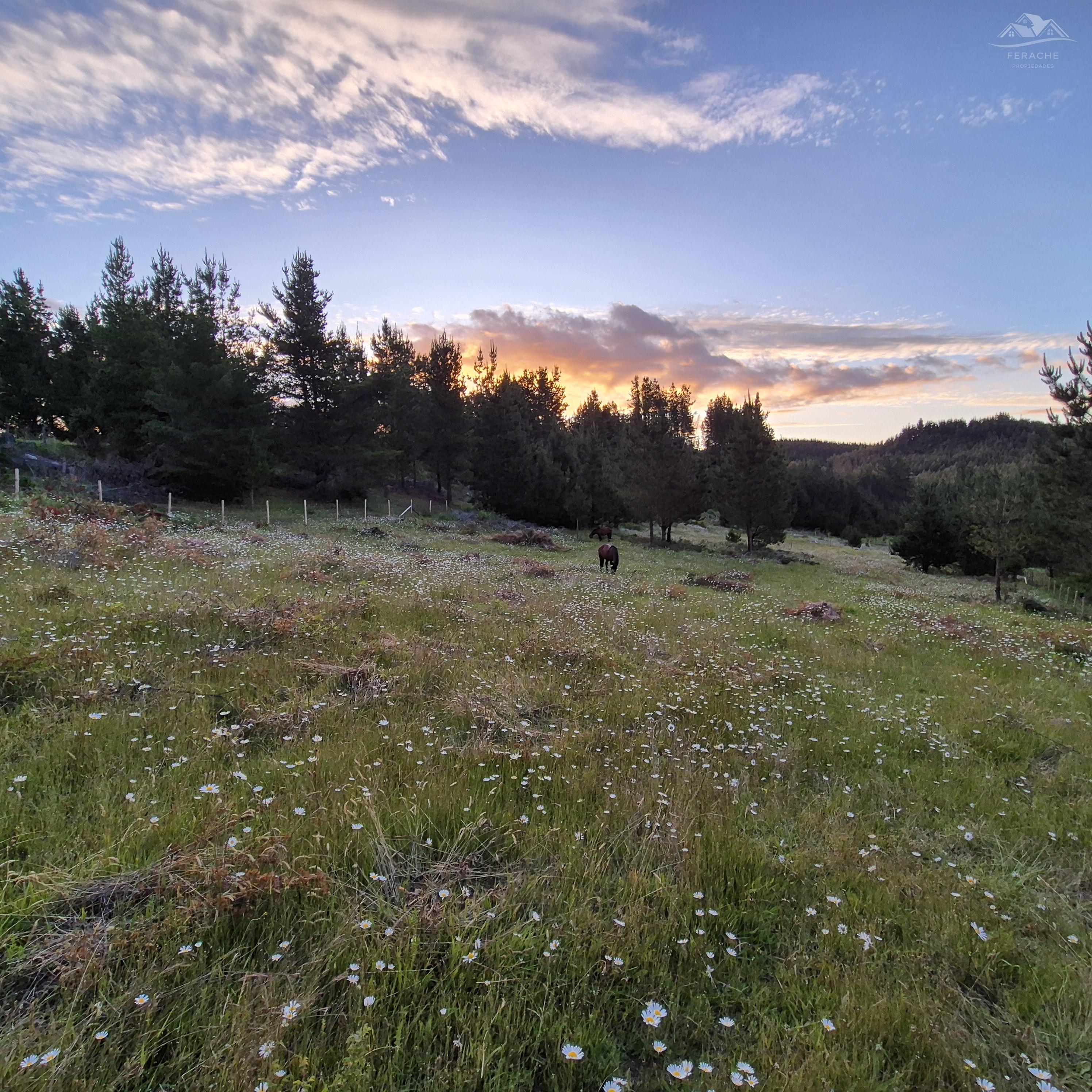 Parcela en Oferta en La Unión