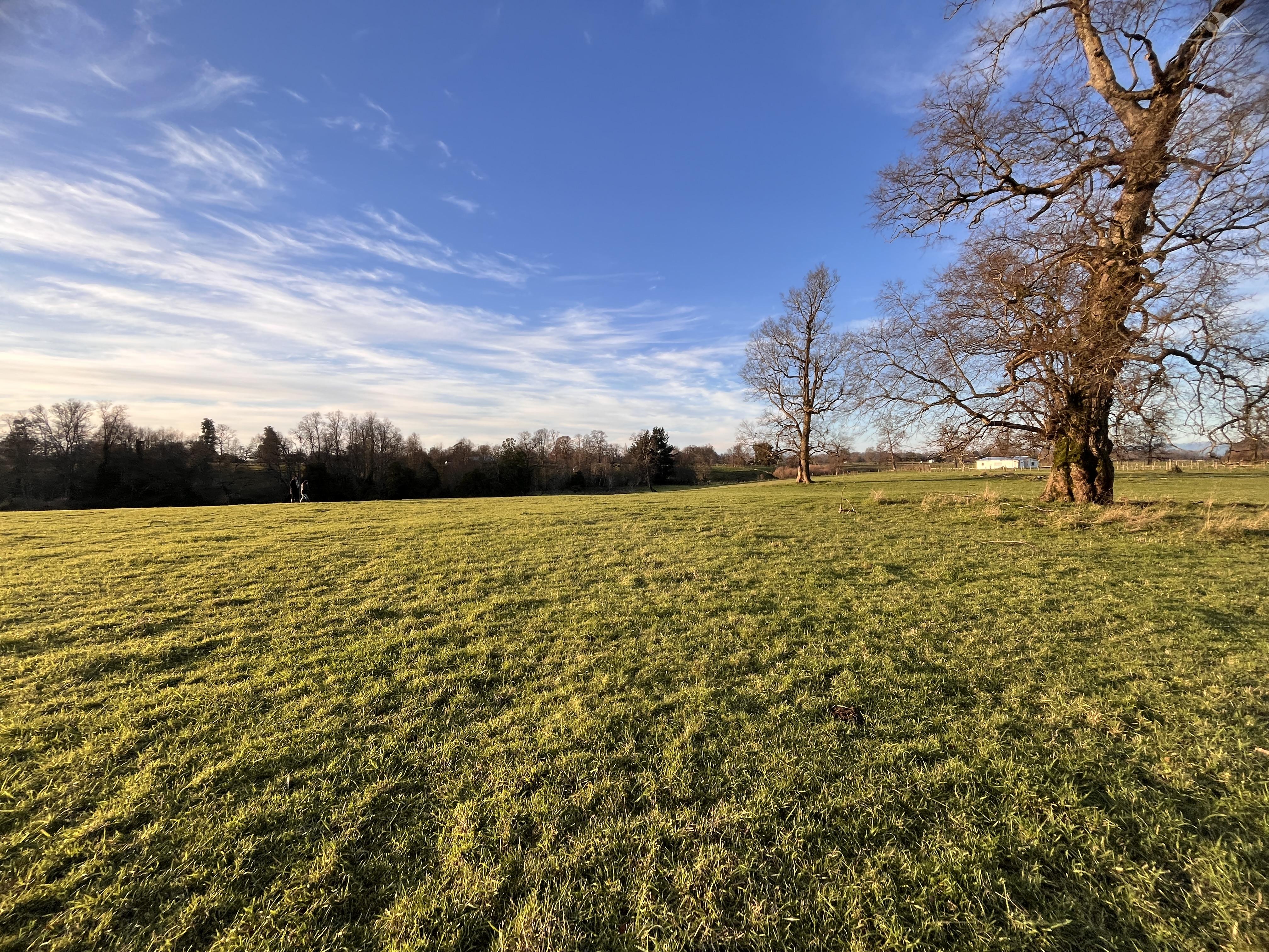 Parcela en Venta en RÃo Bueno