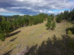 Vista 2