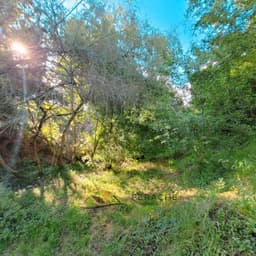 Vista 5