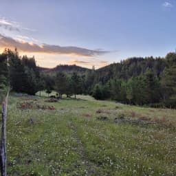 Vista 1