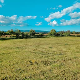 Vista 7