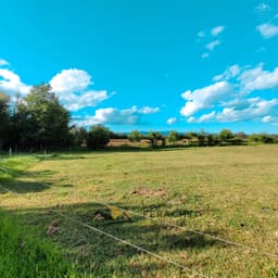 Vista 2