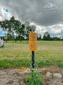 Vista 6