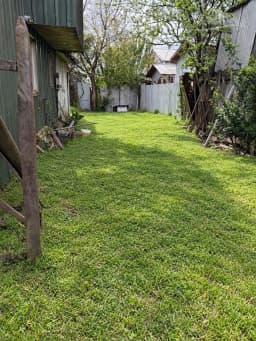 Vista 13