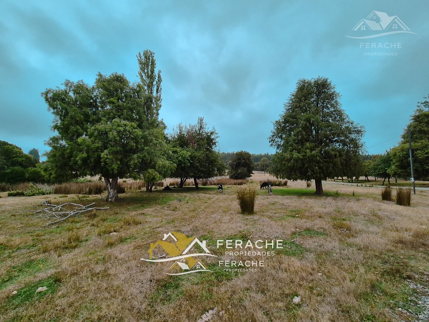 Parcelas en sector Ñanculén - La Unión, La Unión