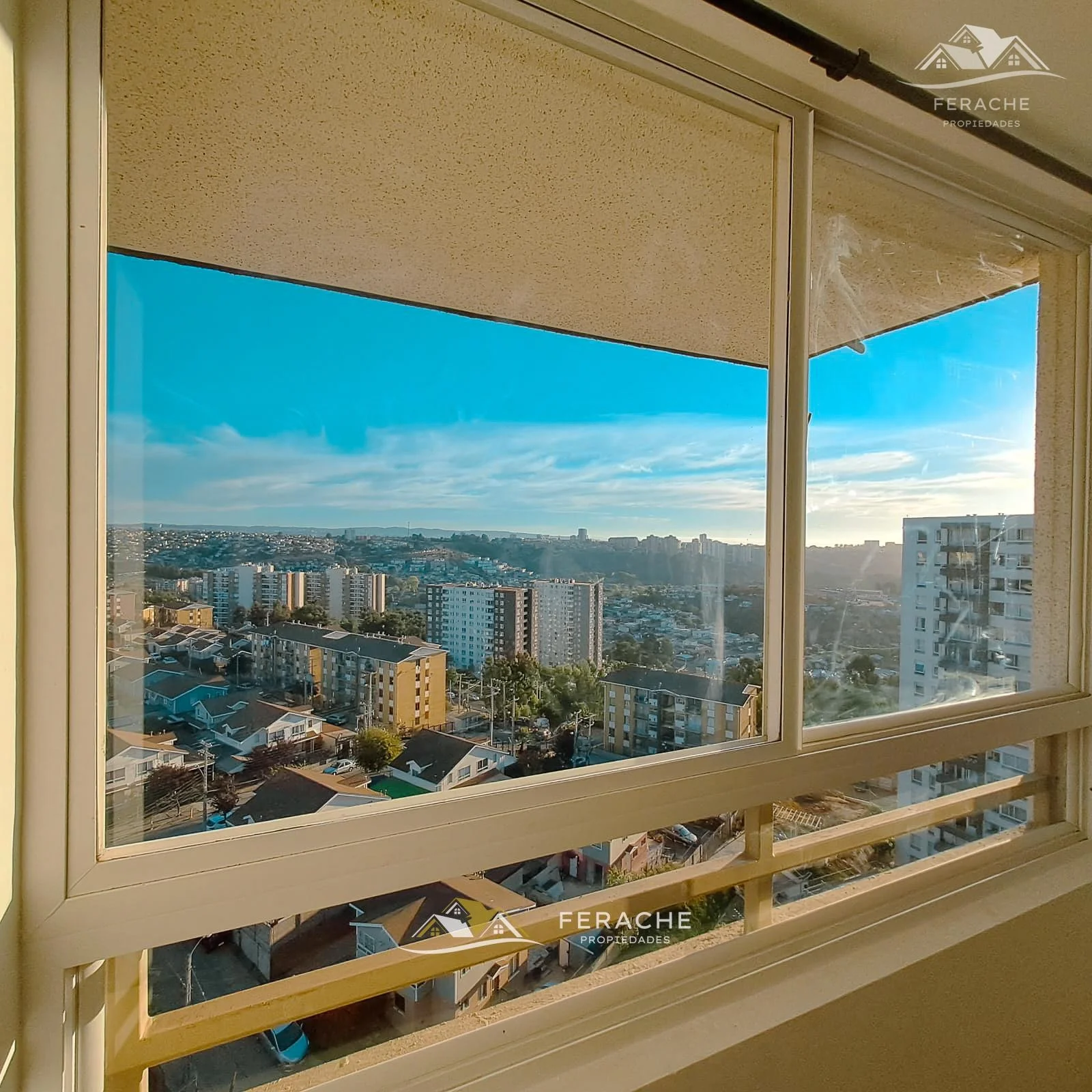 Vista 4