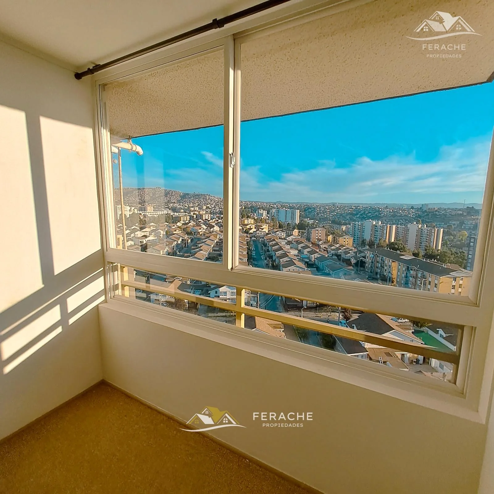 Vista 5