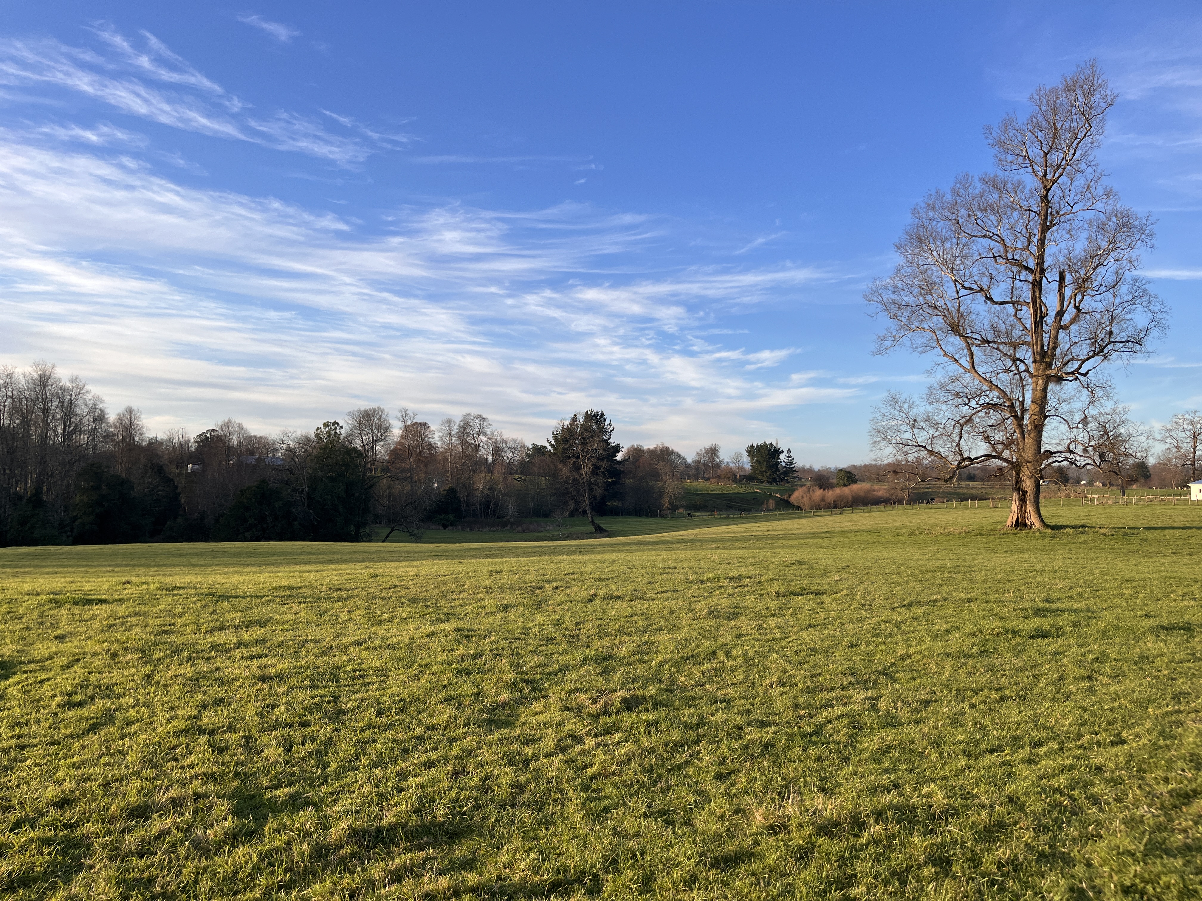 Venta y Arriendo de Propiedades en La Union y Rio Bueno